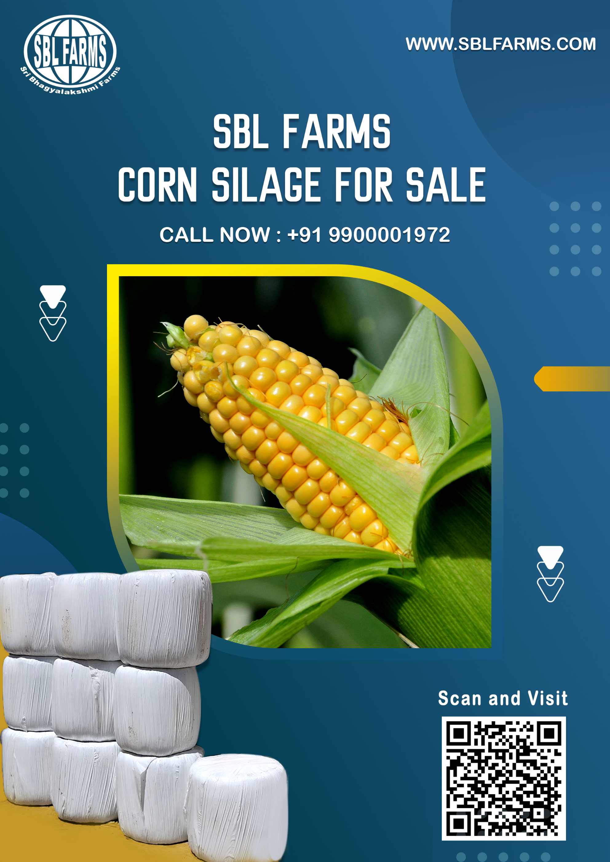 Corn Silage Suppliers in Bangalore | Corn Silage for Sale  |  Corn Silage, Baby Corn Silage manufacturers, suppliers & exporters in Bangalore | corn silage for sale in bangalore |  Sri Bhagyalakshmi Farms Corn Silage Bangalore| Silage Balers | Animal Feed Manufacturers | Production of Silage |Cattle feed manufacturers & suppliers - SBL Farms is solving the biggest fodder crisis in India, by supplying Silage bales, Bailing machines to dairy farmers, Cooperatives, Animal Husbandry | Best Cattle Feed Manufacturers & Silage Suppliers in India | Indias Best Baled Silage Producers